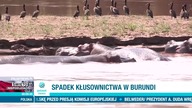 POLSATNEWS - 11-11-2022 - Ogłoszenie społeczne, Ogłoszenie nadawcy, Reklamy