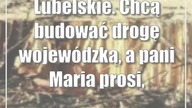 Lubelskie.  Chcą budować drogę wojewódzką, a pani Maria prosi, żeby zostawić topole