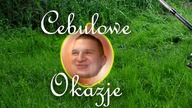 Cebulowe Okazje (#6) -  Xbox 360 za 100 zł?! - naprawa i renowacja konsoli