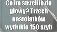 Co im strzeliło do głowy? Trzech nastolatków wytłukło 150 szyb