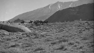 1936 King of the Pecos - Król Pecos BRRip XviD AC3 napl