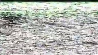 Model MT - Mix 2000 [tragiczna jakość obrazu]