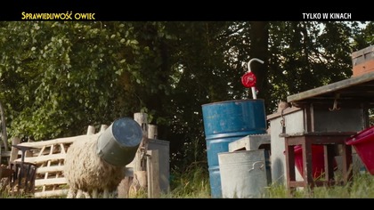 Sprawiedliwość owiec - tylko w kinach