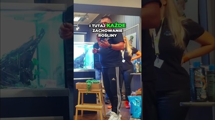 Jak Rozpoznać Braki w Roślinach Objawy i Reakcje!