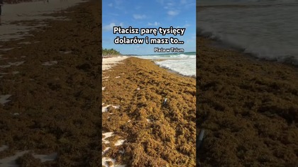 Płacisz parę tysięcy dolarów i masz to Tragedia