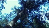 GGWWAA. S03E04