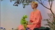 Muppet Show, czyli Rewia Gwiazd - Sandy Duncan (Lektor PL)