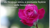 Audycja Wyzwolony - Rob Rytaran