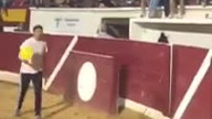 Zdenerwowany byk na stadionie