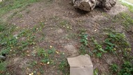 Opuszczony dom z ukrytą skrytką w podłodze! Oraz informacją o śmierci gospodarza | Urbex | Wietrzyk