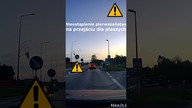 Nieustąpienie pierwszeństwa na przejściu dla pieszych #shorts #rikordwidjo