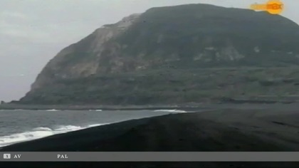 Wojenny Flip i Flap. VID-1710431618639