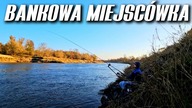536 RZECZNY FEEDER NA SKARPIE.  BANKOWA MIEJSCÓWKA O TEJ PORZE ROKU.