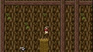 Mario Forever Autumn Project PB Games