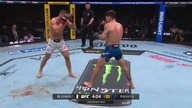 UFC 327: Procházka vs Ulberg - Karta Wstępna