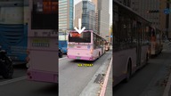 Takich DZIWNYCH autobusów jeszcze NIE widziałem 
