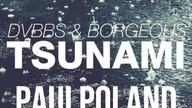 DVBBS & Borgeous  Tsunami (PaulPoland Electro Pop Mix-Up)