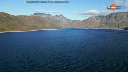 PLANETE+ - 31-12-2024 - Sponsorzy, Zapowiedzi, Reklamy, Ogłoszenie społeczne