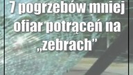 7 pogrzebów mniej ofiar potrąceń na zebrach