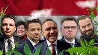 KTORY PREZYDENT ZALEGALIZUJE ZIOŁO?