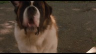 Beethoven 4 / Beethovens 4th (2001) [Lektor PL]