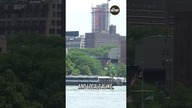 From the Past to Present: Tourist Ferries in Modern-Day NYC! 
