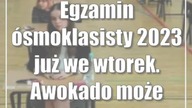 Egzamin ósmoklasisty 2023 już we wtorek.  Awokado może pomóc zdać go lepiej