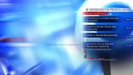 Ujawniamy jak NAPRAWDĘ zatrzymano RODZINĘ STONOGI! | WIADOMOŚCI