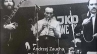 Andrzej Zaucha - Dziura w krajobrazie
