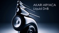 Lisa Gerrard feat AKARI ARYACA DnB 528 Hz
