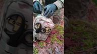 Rhino Rescue Traumakit  Skuteczne zestaw do Ratowania Życia!