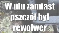 W ulu zamiast pszczół był rewolwer