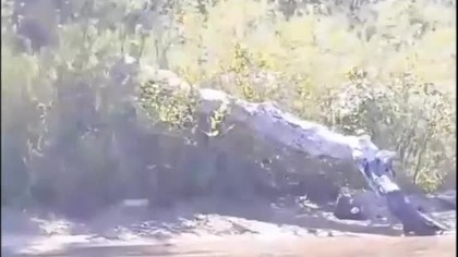 Surfer idealnie wchodzi na falę za motor&oacute;wką