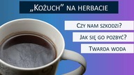 Kożuch na herbacie: czy TWARDA WODA jest zdrowa?