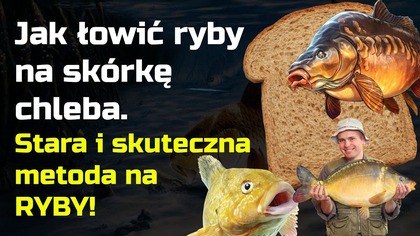 Jak łowić ryby na skórkę chleba - Skuteczna metoda na ryby