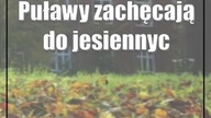 Puławy zachęcają do jesiennych spacerów [zdjęcia]