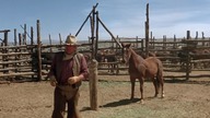 Kowboje.  1972.  Lektor.pl 1080p