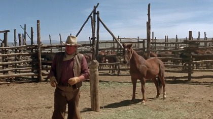 Kowboje.  1972.  Lektor.pl 1080p