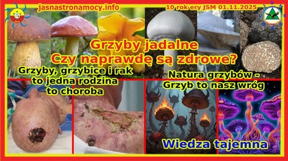 Natura grzybów.  Wiedza tajemna!