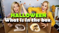 WHAT IS IN THE BOX CHALLENGE  HALLOWEEN