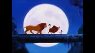 17.  Wstęp do Kolekcja filmowa 9 - Kr&oacute;lik Bugs i Struś Pędziwiatr - Szalony pościg