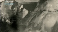 Zagadka rosyjskiego yeti