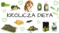 Królicza dieta