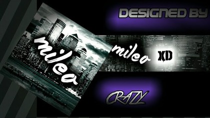 BANNER I AVATAR DLA mileo xd