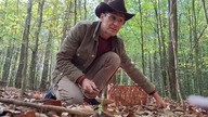 Grzybobranie * mushroom picking * 12 październik 2024
