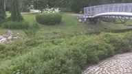 LGV30_OpenCamVID_20200620_163225 -Staw -Park Klepacza Ł&oacute;dź 2560x1920 30fps