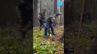 DUDA vs.  ŁUKASZENKA.  Jeden SADZI, drugi RĄBIE #shorts