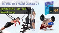 Ćwiczenia z Bluebookiem - part 04 - wskaźnik jak kameleon