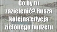 Co by tu zazielenić? Rusza kolejna edycja zielonego budżetu