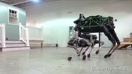 Robot SpotMini